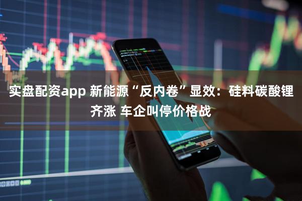 实盘配资app 新能源“反内卷”显效：硅料碳酸锂齐涨 车企叫停价格战